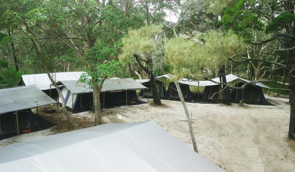 Our Group Camp Tents Moreton Island